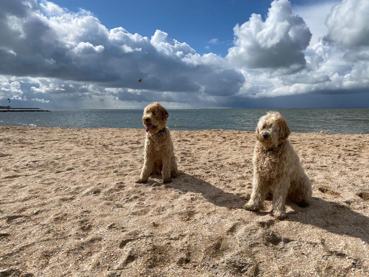 Holidayhome Geuzenhoeve op de Munnickaij Schellinkhout Buitenkant foto