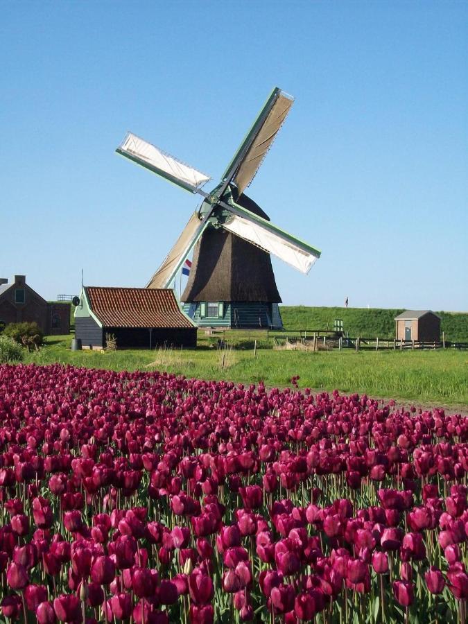 Holidayhome Geuzenhoeve op de Munnickaij Schellinkhout Buitenkant foto